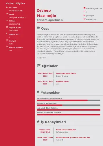 Felsefe Öğretmeni CV Örnekleri cv indir